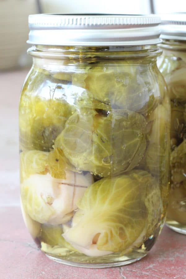Canning pickled brussel sprouts. Everything you need to know to get started, including step by step canning instructions for beginning canners.
