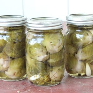 Canning pickled brussel sprouts. Everything you need to know to get started, including step by step canning instructions for beginning canners.