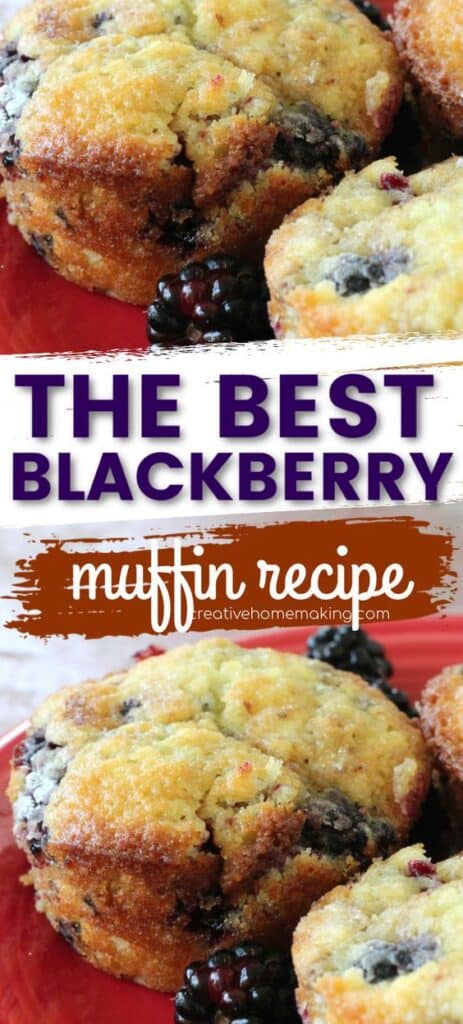 Looking for a delicious and easy breakfast idea? Look no further than our mouthwatering blackberry muffin recipe. Bursting with juicy blackberries and topped with a crumbly streusel, these muffins are the perfect way to start your day. Pin now and enjoy a homemade breakfast treat that's sure to impress!