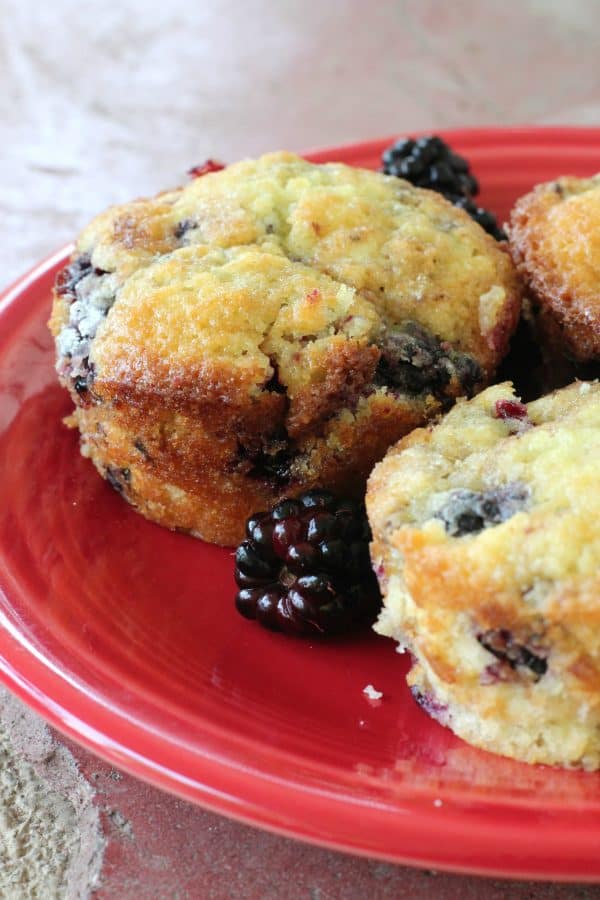 Blackberry Muffins - Creative Homemaking