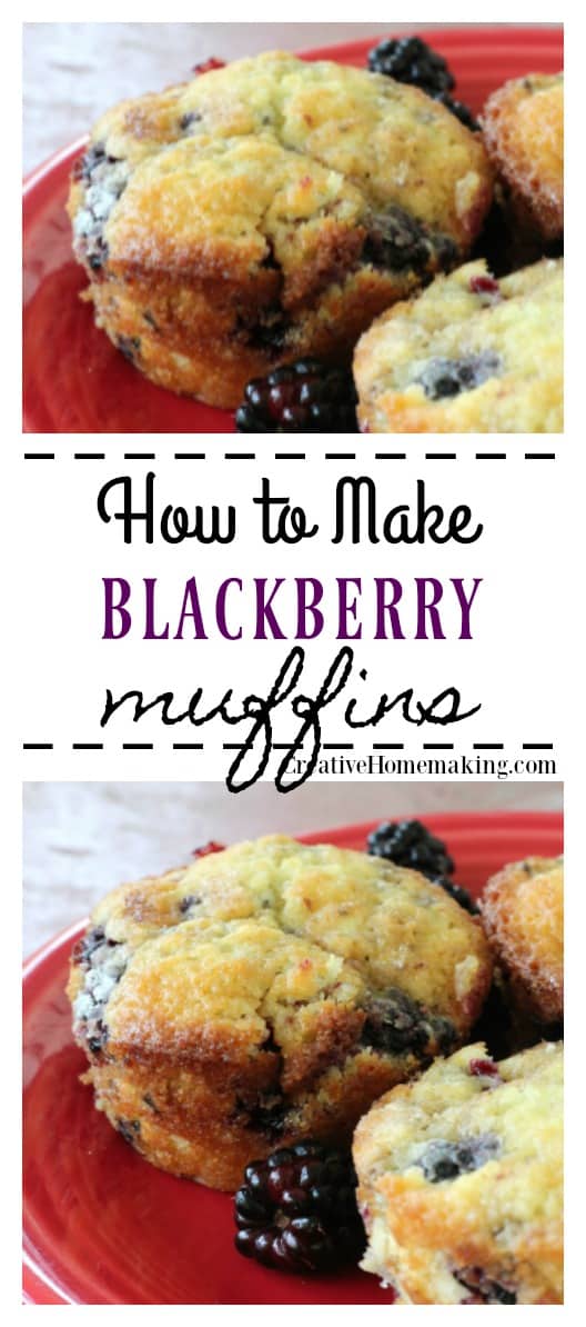 Easy recipe for blackberry muffins. Make homemade muffins from fresh or frozen blackberries.