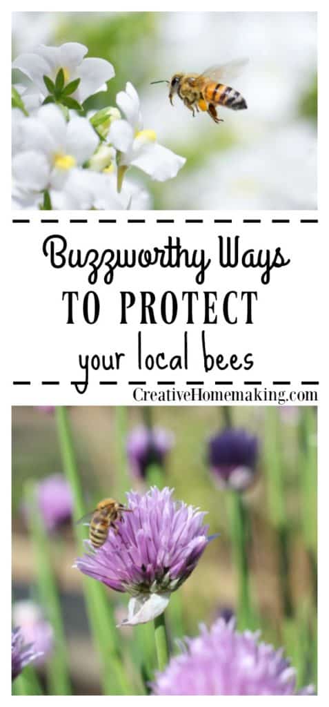 Buzzworthy Ways to Protect Your Local Bees - Creative Homemaking