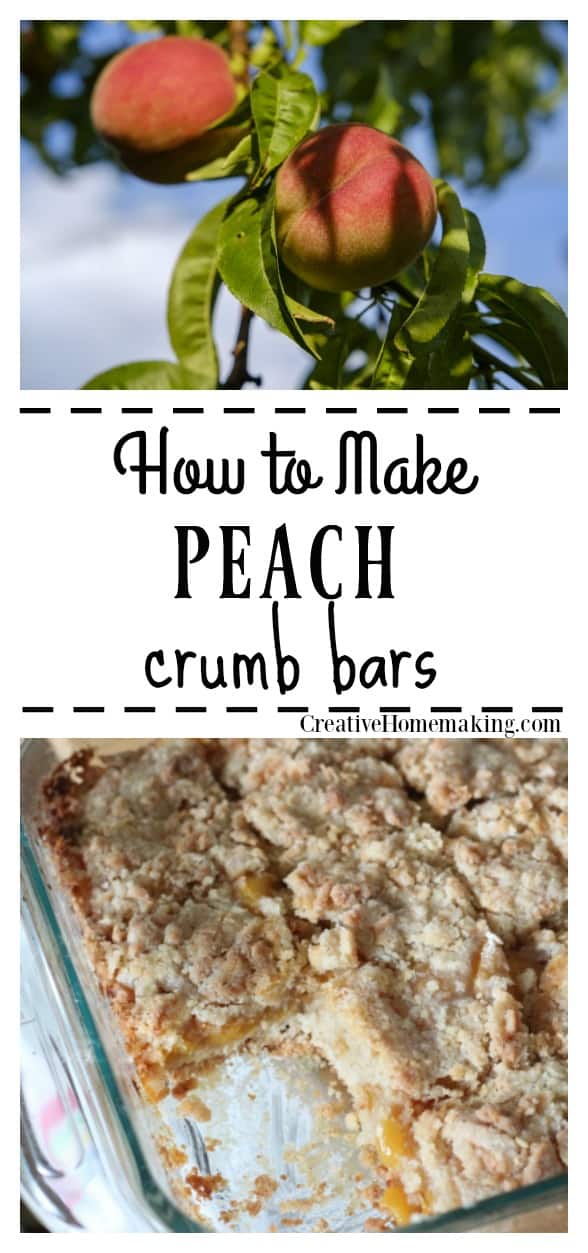 Easy recipe for peach crumb bars. A great summer dessert for enjoying fresh peaches.