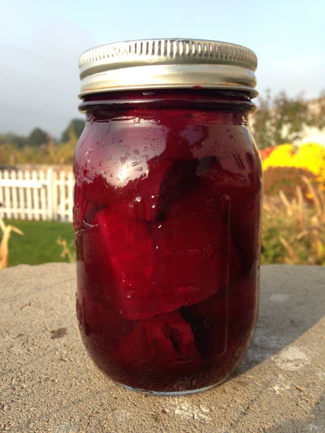 Easy pickled beets canning recipe