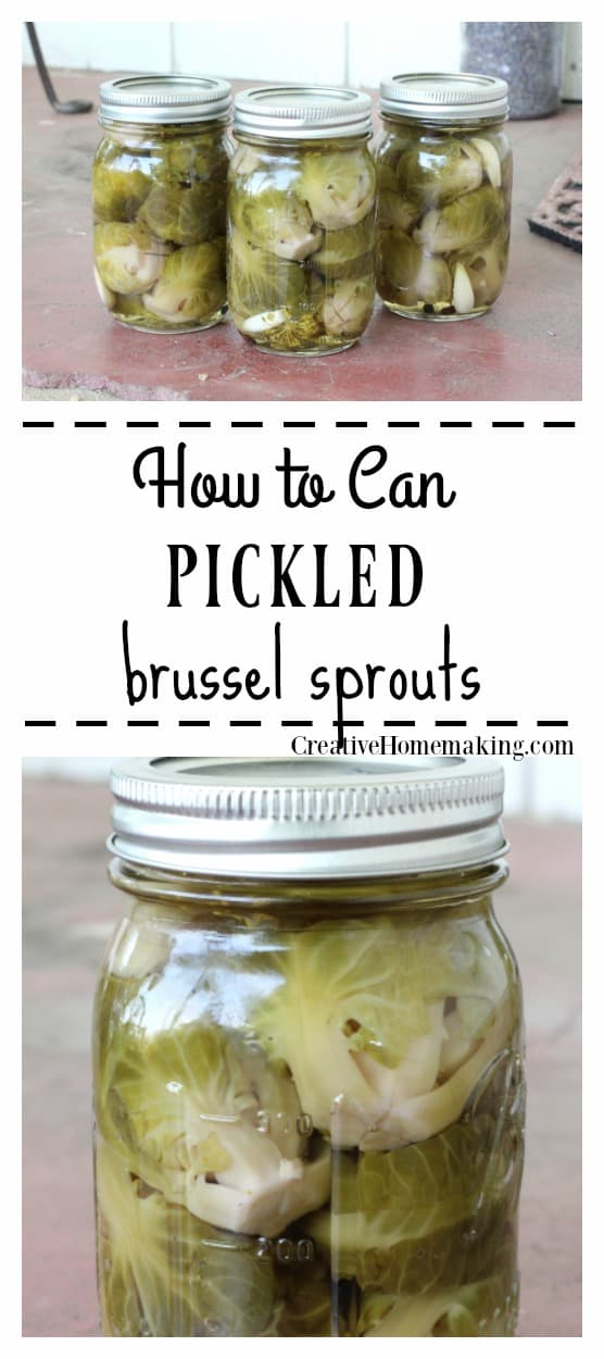 Canning pickled brussel sprouts. Everything you need to know to get started, including step by step canning instructions for beginning canners.