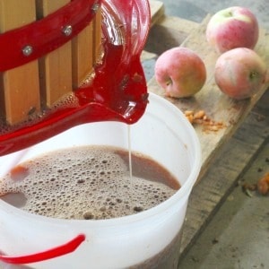 How to make cider with a apple cider press. Fun fall activity for the entire family, start a new yearly tradition your family will enjoy for generations.