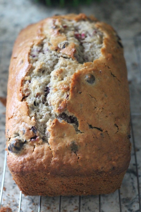 Easy cranberry nut bread recipe to make for fall and Thanksgiving. One of my favorite fall recipes!