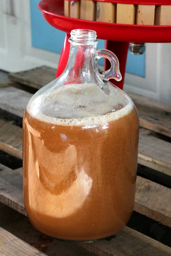 how-to-make-hard-cider-from-apple-juice-creative-homemaking