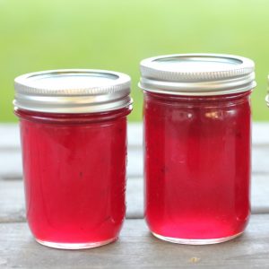 10 easy homemade jelly recipes for canning