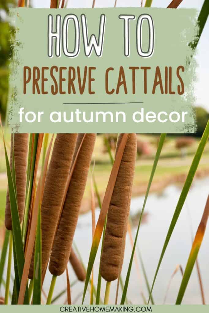 Learn how to preserve cattails for stunning fall decor! Our step-by-step guide shows you how to dry and treat cattails to make them last longer and keep their natural beauty. Use them to create unique centerpieces, wreaths, or other autumnal arrangements. Perfect for adding a touch of rustic charm to your home or event. Pin now to save for later!