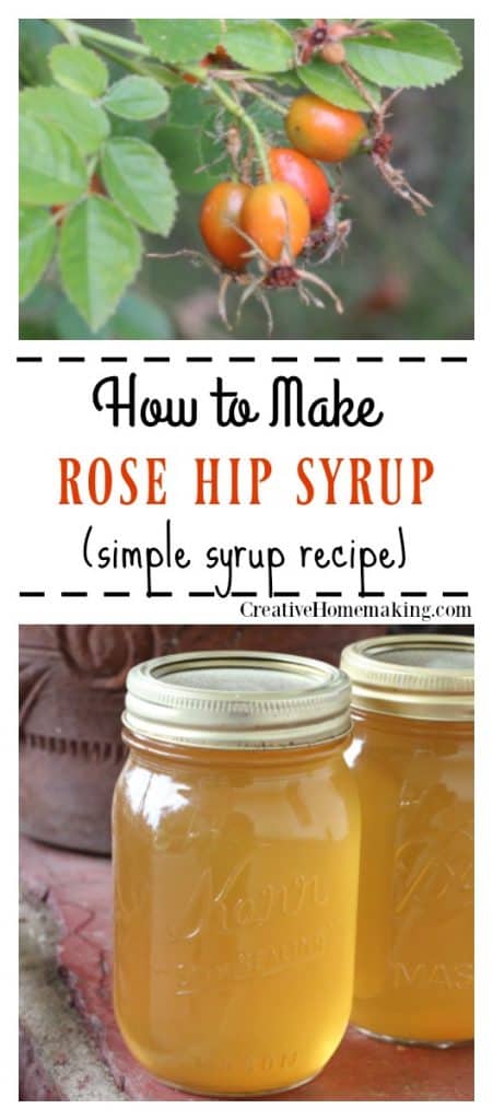 Easy recipe for rose hip syrup you can use to flavor iced teas, sodas, and cocktails. Canning it is optional!