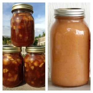 Download Best Apple Pie Filling Recipe For Canning Pictures