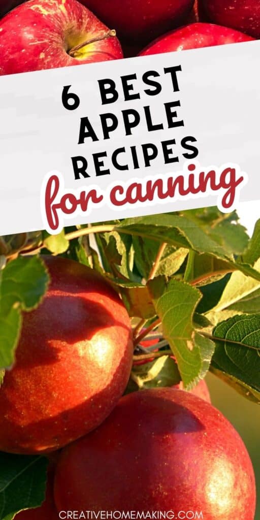 Preserve the taste of fall with these mouth-watering apple recipes perfect for canning! From classic apple butter and spiced applesauce to savory apple chutney and apple pie filling, these recipes will keep your pantry stocked with delicious homemade goodness all year round. Whether you're a seasoned canner or just starting out, find the perfect recipe to savor the flavors of autumn.