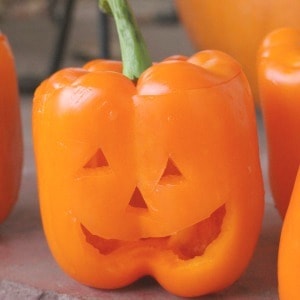Easy Halloween dinner idea! Make these Halloween stuffed peppers mexican style, with spaghetti, or vegetarian.