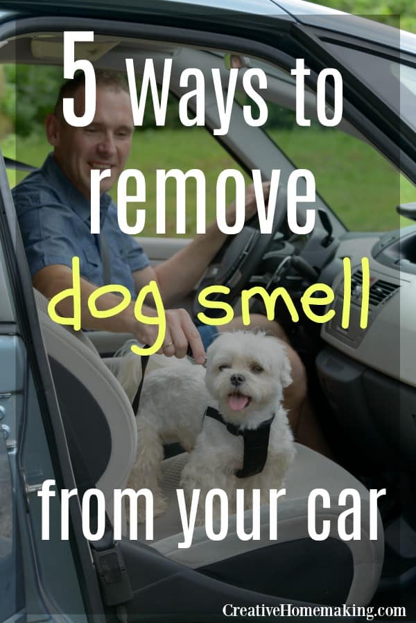 5 easy ways to remove dog smell from your car. These easy cleaning hacks will get the pet odor removed from your car in no time.