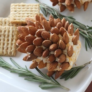 These pinecone cheeseballs are a great holiday party food appetizer idea! Make ahead of time and refrigerate until the day of the party or holiday meal.