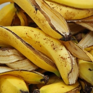 Easy tip for using banana peels to fertilize houseplants. One of my favorite DIY fertilizers for houseplants.