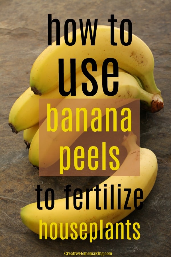 Easy tip for using banana peels to fertilize houseplants. One of my favorite DIY fertilizers for indoor plants.