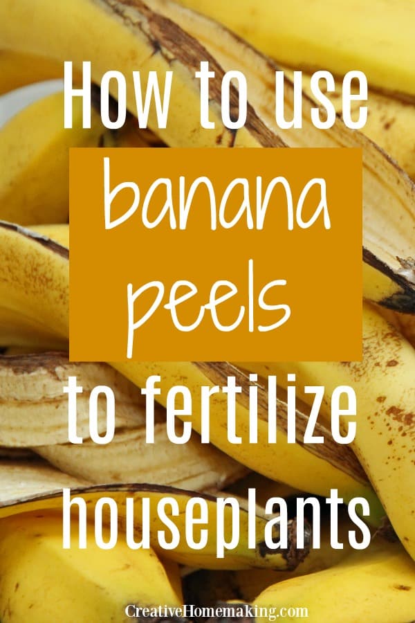 Easy tip for using banana peels to fertilize houseplants. One of my favorite DIY fertilizers for indoor plants.