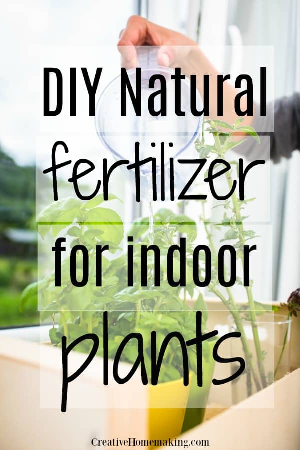 Easy natural fertilizers to make for your houseplants and indoor plants.