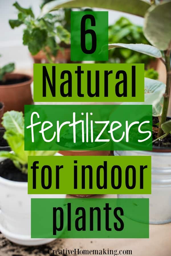 Easy natural fertilizers to make for your houseplants and indoor plants.