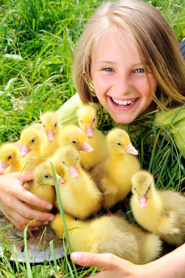 What Is The Best Duck To Keep As A Pet at Erik Shin blog