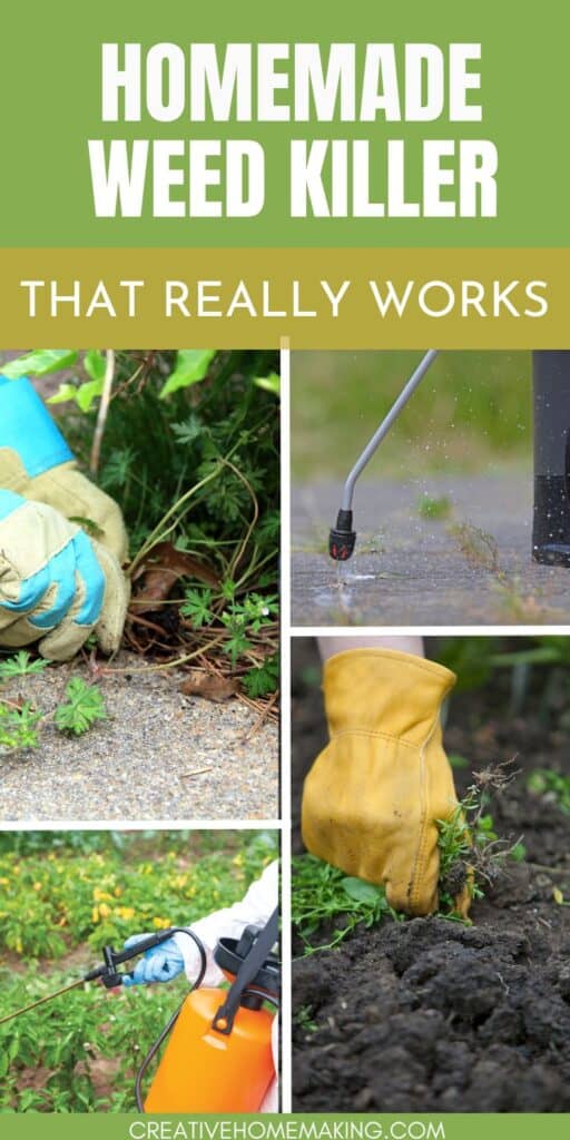 Create your own homemade weed killer with simple, natural ingredients. Discover effective DIY weed killer recipes and methods for maintaining a weed-free garden without harsh chemicals.