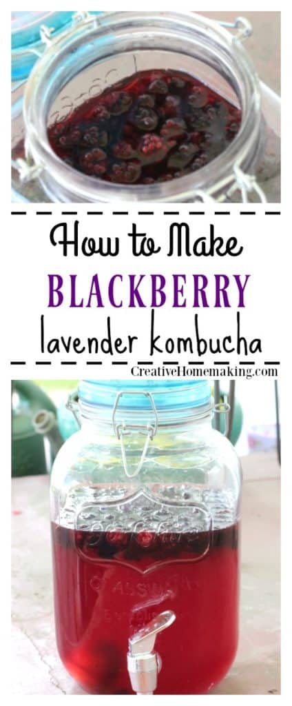 blackberry lavender kombucha