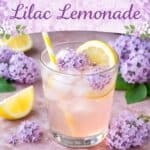 Make this refreshing lilac lemonade recipe with fresh lilac blossoms and lemons for a beautiful spring drink. Light, floral, and perfect for garden parties, brunch, or warm afternoons.