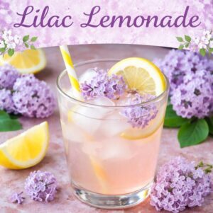 Make this refreshing lilac lemonade recipe with fresh lilac blossoms and lemons for a beautiful spring drink. Light, floral, and perfect for garden parties, brunch, or warm afternoons.