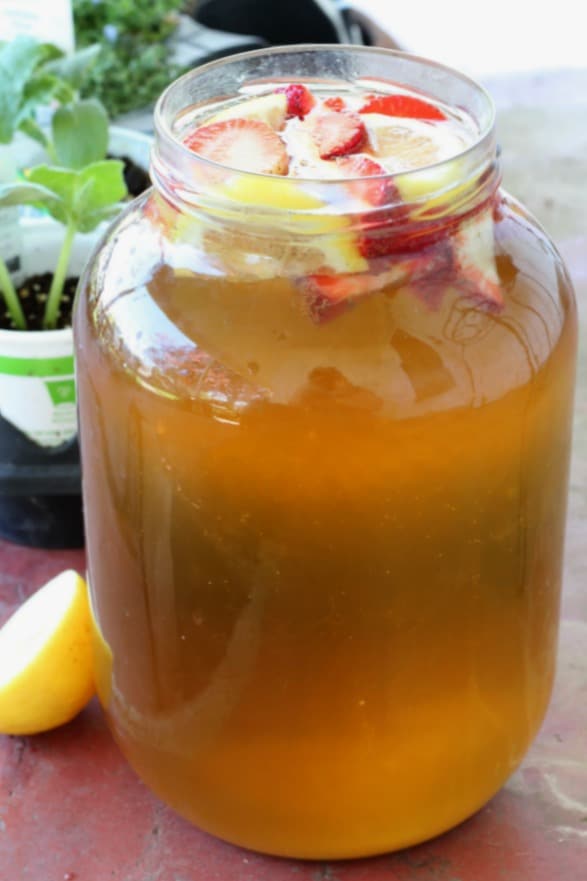 Easy recipe for strawberry lemonade kombucha, one of my new favorite kombucha flavors!