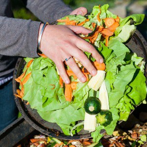 5 Best Kitchen Compost Bins
