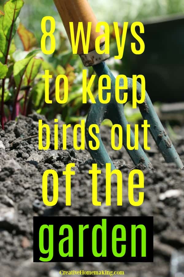 Easy DIY tips for keeping birds out of the garden. Ideas for keeping birds from eating your strawberries!