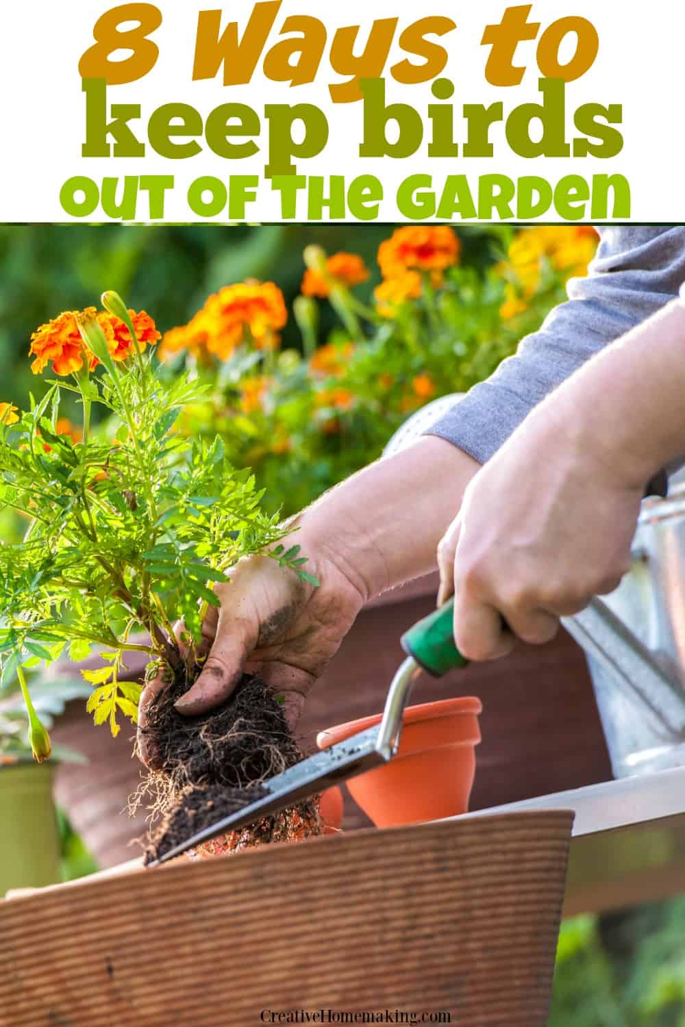 8 Ways to Keep Birds Out of the Garden Creative Homemaking