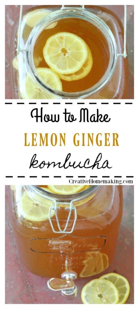 Easy lemon ginger kombucha recipe. How to make lemon ginger kombucha and its many benefits.