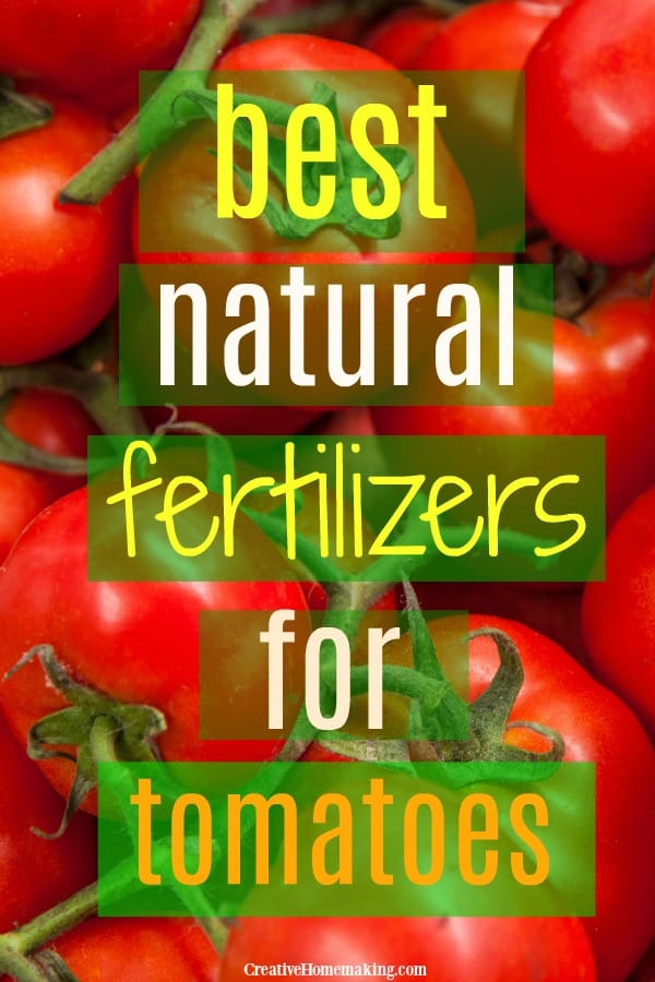 The best natural fertilizers for tomato plants