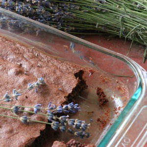 Easy recipe for making lavender brownies. One of my favorite ways to bake with dried lavender!