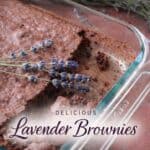 These lavender brownies are perfect for dessert, tea party menus, pretty brunch ideas, and even a garden party. Rich, fudgy, and lightly floral!