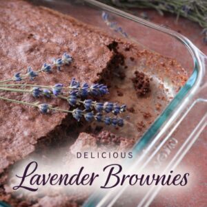 These lavender brownies are perfect for dessert, tea party menus, pretty brunch ideas, and even a garden party. Rich, fudgy, and lightly floral!