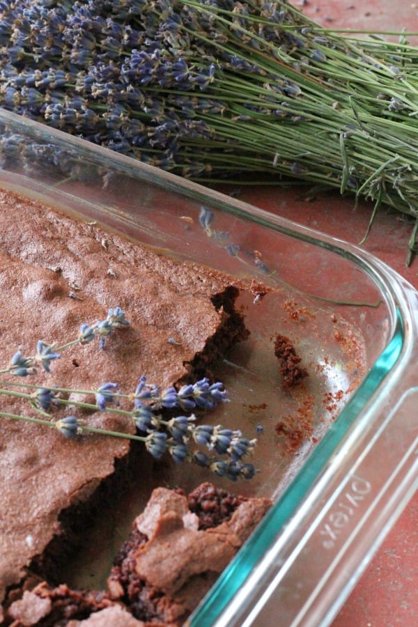 Easy recipe for making lavender brownies. One of my favorite ways to bake with dried lavender!