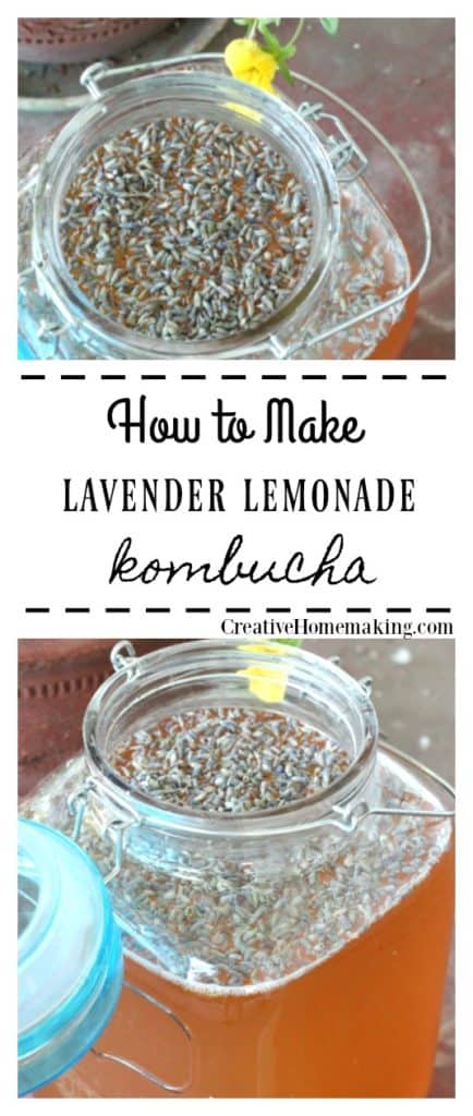 Easy recipe for lavender lemonade kombucha, one my favorite lavender drink recipes!