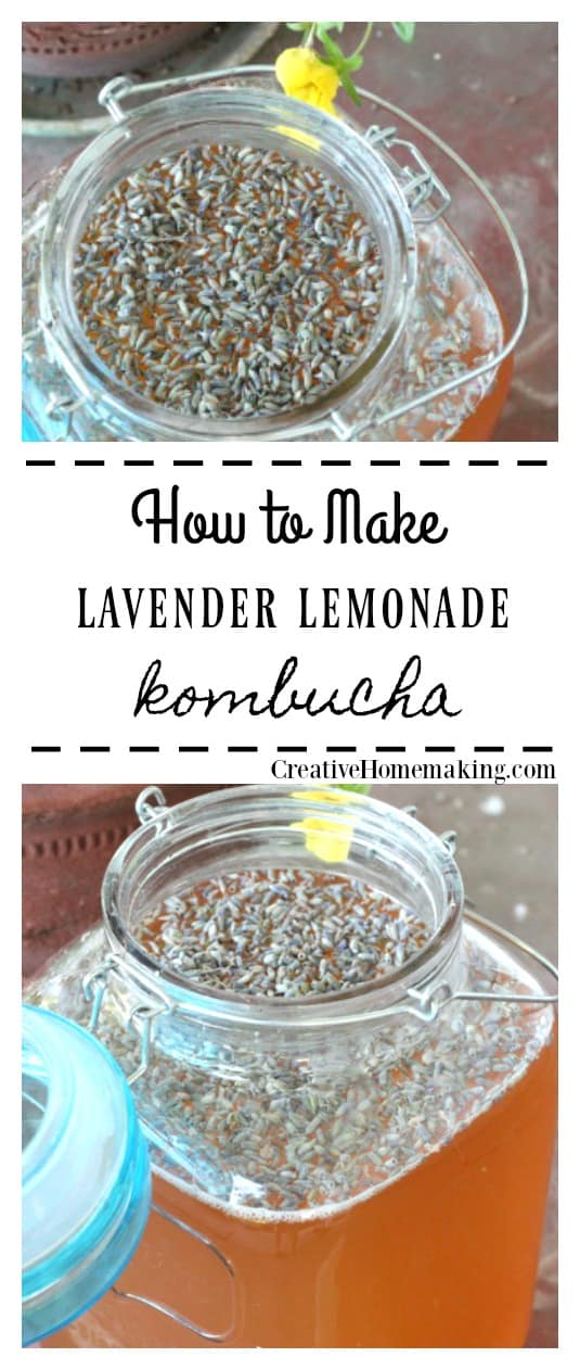 Lavender Lemonade Kombucha Creative Homemaking