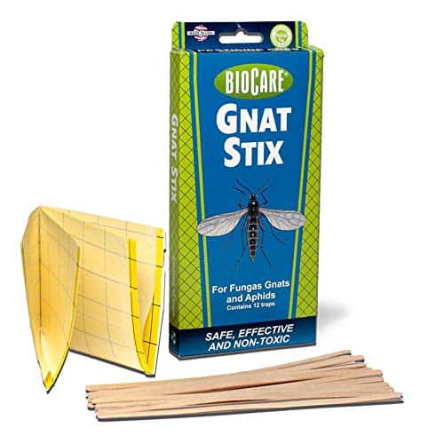 BioCare Gnat Stix Indoor Traps for Fungus Gnats and Aphids, Nontoxic and Pesticide-Free, Made in USA, 12 Count