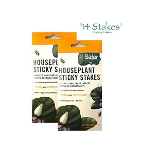 Safer Brand 5025 Houseplant Sticky Stakes Insect Trap, 14 Traps (2 Packs of 7) and bonus Moth trap made by Q-Traps also included