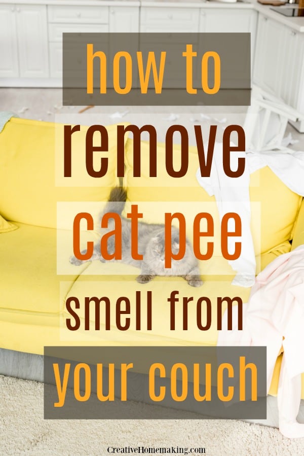 How To Get Cat Smell Out Of Couch Creative Homemaking