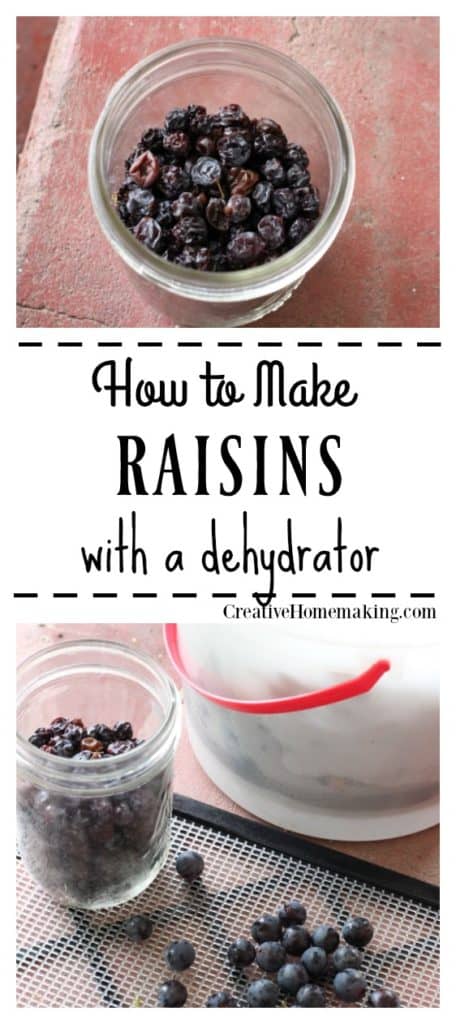 How to make raisins with a dehydrator. Learn how to make raisins from fresh grapes! One of my favorite food dehydrator recipes.