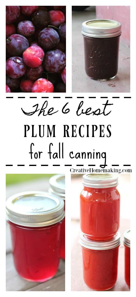6 Best Plum Canning Recipes - Creative Homemaking