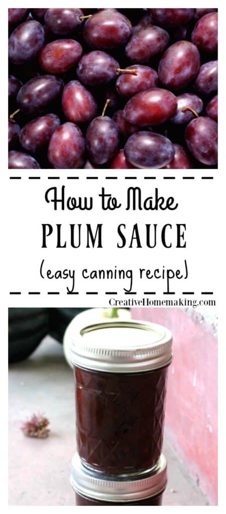 Easy Chinese plum sauce recipe for canning. Serve as a dipping sauce for egg rolls, wontons, and spring rolls or use to baste chicken or pork. My favorite spicy Asian canning recipe for stir fry.