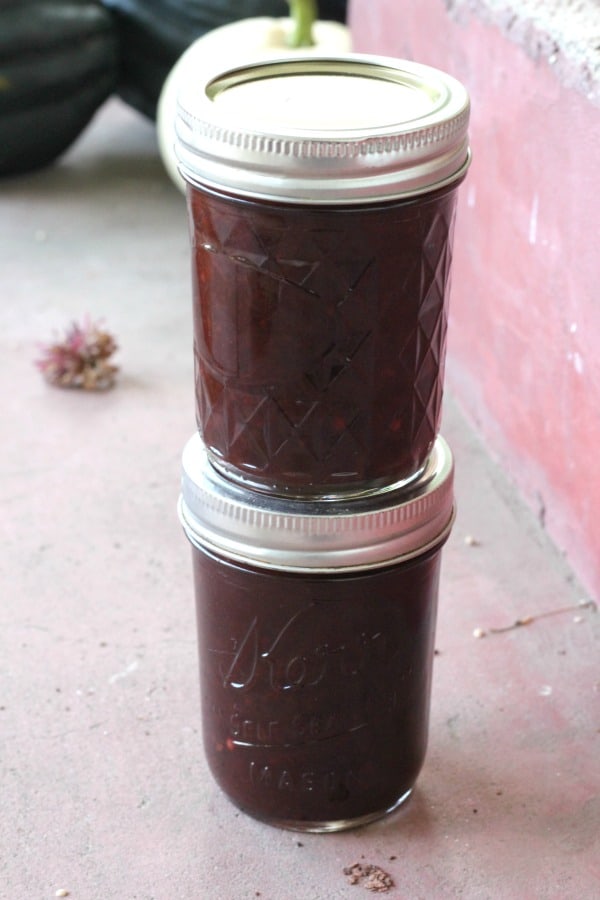 Easy Chinese plum sauce recipe for canning. Serve as a dipping sauce for egg rolls, wontons, and spring rolls or use to baste chicken or pork. My favorite spicy Asian canning recipe for stir fry.
