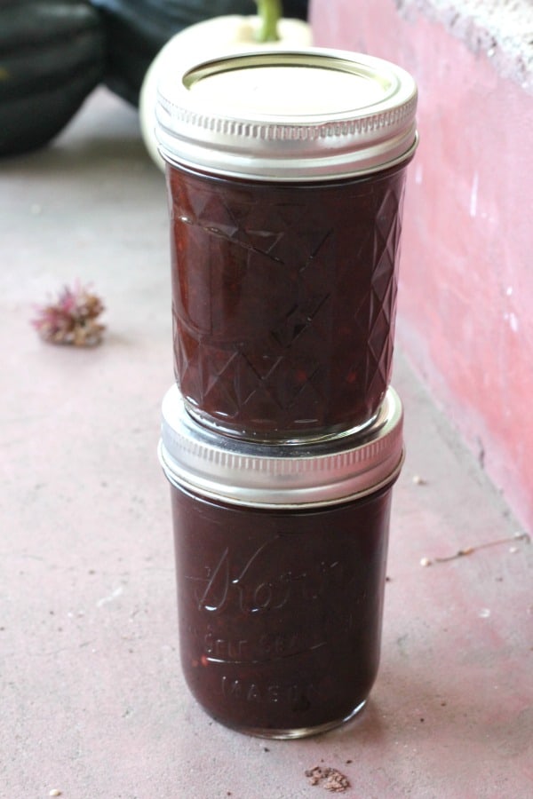 Canning Plum Sauce - Creative Homemaking